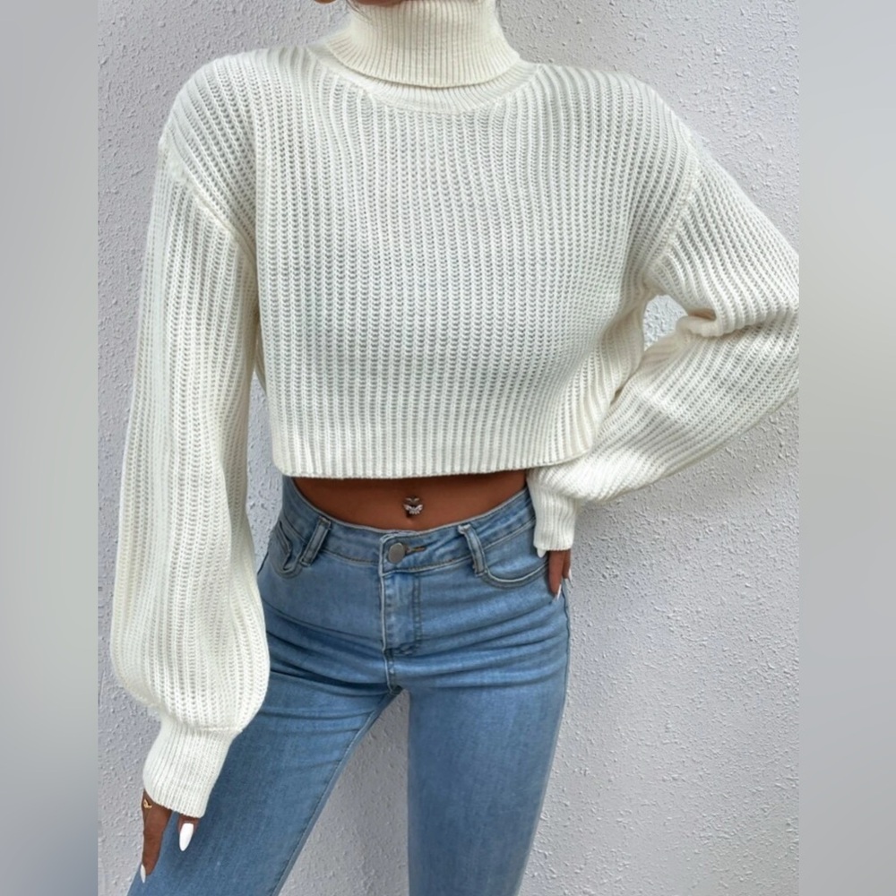 Turtleneck Ribbed Knit Drop Shoulder Sweater